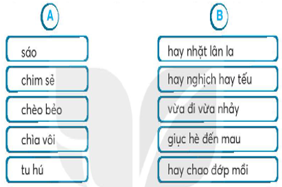 Vở bài tập Tiếng Việt lớp 2 trang 21 Bài 9: Vè chim lớp 2 – Kết nối tri thức (ảnh 1)