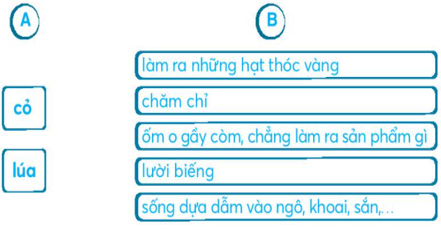 Vở bài tập Tiếng Việt lớp 2 trang 72, 73, 74, 75 Bài: Ôn tập và đánh giá cuối học kì 1 lớp 2 – Kết nối tri thức (ảnh 1)
