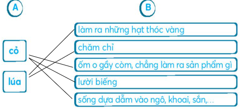 Vở bài tập Tiếng Việt lớp 2 trang 72, 73, 74, 75 Bài: Ôn tập và đánh giá cuối học kì 1 lớp 2 – Kết nối tri thức (ảnh 1)