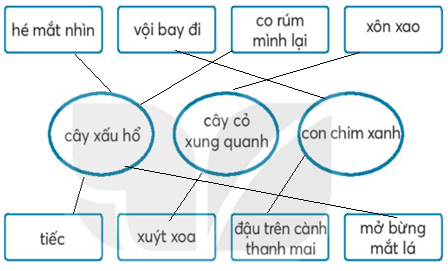 Vở bài tập Tiếng Việt lớp 2 trang 16, 17 Bài 7: Cây xấu hổ lớp 2 – Kết nối tri thức (ảnh 1)