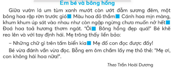 Tiếng Việt lớp 3 Tập 1 Ôn tập cuối học kì 1 – Chân trời sáng tạo (ảnh 1)