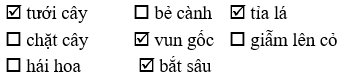 Vở bài tập Tiếng Việt lớp 2 trang 31, 32 Bài 14: Cỏ non cười rồi lớp 2 – Kết nối tri thức (ảnh 1)
