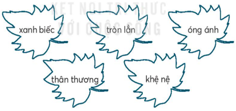Vở bài tập Tiếng Việt lớp 2 trang 34, 35, 36 Bài 16: Tạm biệt cánh cam lớp 2 – Kết nối tri thức (ảnh 1)