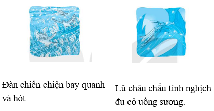 Vở bài tập Tiếng Việt lớp 2 trang 66, 67, 68 Bài 30: Cánh đồng quê em lớp 2 – Kết nối tri thức (ảnh 1)