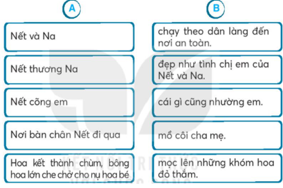 Vở bài tập Tiếng Việt lớp 2 trang 56, 57 Bài 25: Sự tích hoa tỉ muội lớp 2 – Kết nối tri thức (ảnh 1)