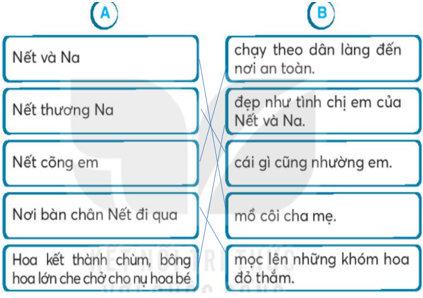 Vở bài tập Tiếng Việt lớp 2 trang 56, 57 Bài 25: Sự tích hoa tỉ muội lớp 2 – Kết nối tri thức (ảnh 1)