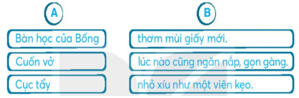 Vở bài tập Tiếng Việt lớp 2 trang 33, 34, 35 Bài 16: Khi trang sách mở ra lớp 2 – Kết nối tri thức (ảnh 1)
