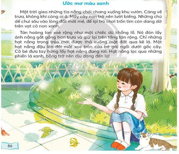 Tiếng Việt lớp 3 Tập 1 Bài 4: Ước mơ màu xanh – Chân trời sáng tạo (ảnh 1)