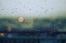 TOP 10 mẫu Cảm xúc của em sau khi đọc bài thơ Một mình trong mưa hay nhất (ảnh 1)