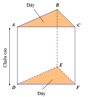 Lý thuyết Hình lăng trụ đứng tam giác. Hình lăng trụ đứng tứ giác (Lý thuyết + Bài tập dượt toán lớp 7) – Chân trời tạo nên (ảnh 1)