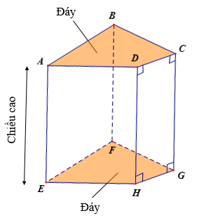 Lý thuyết Hình lăng trụ đứng tam giác. Hình lăng trụ đứng tứ giác (Lý thuyết + Bài tập dượt toán lớp 7) – Chân trời tạo nên (ảnh 1)