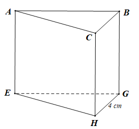 Lý thuyết Diện tích xung quanh và thể tích của hình lăng trụ đứng tam giác,  lăng trụ đứng tứ giác (Lý thuyết + Bài tập toán lớp 7) – Chân trời sáng tạo (ảnh 1)