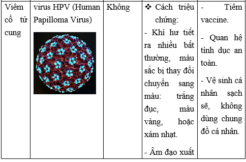 Giải Sinh học 10 Bài 26. Thực hành: điều tra một số bệnh do virus và tuyên truyền phòng chống bệnh (ảnh 1)
