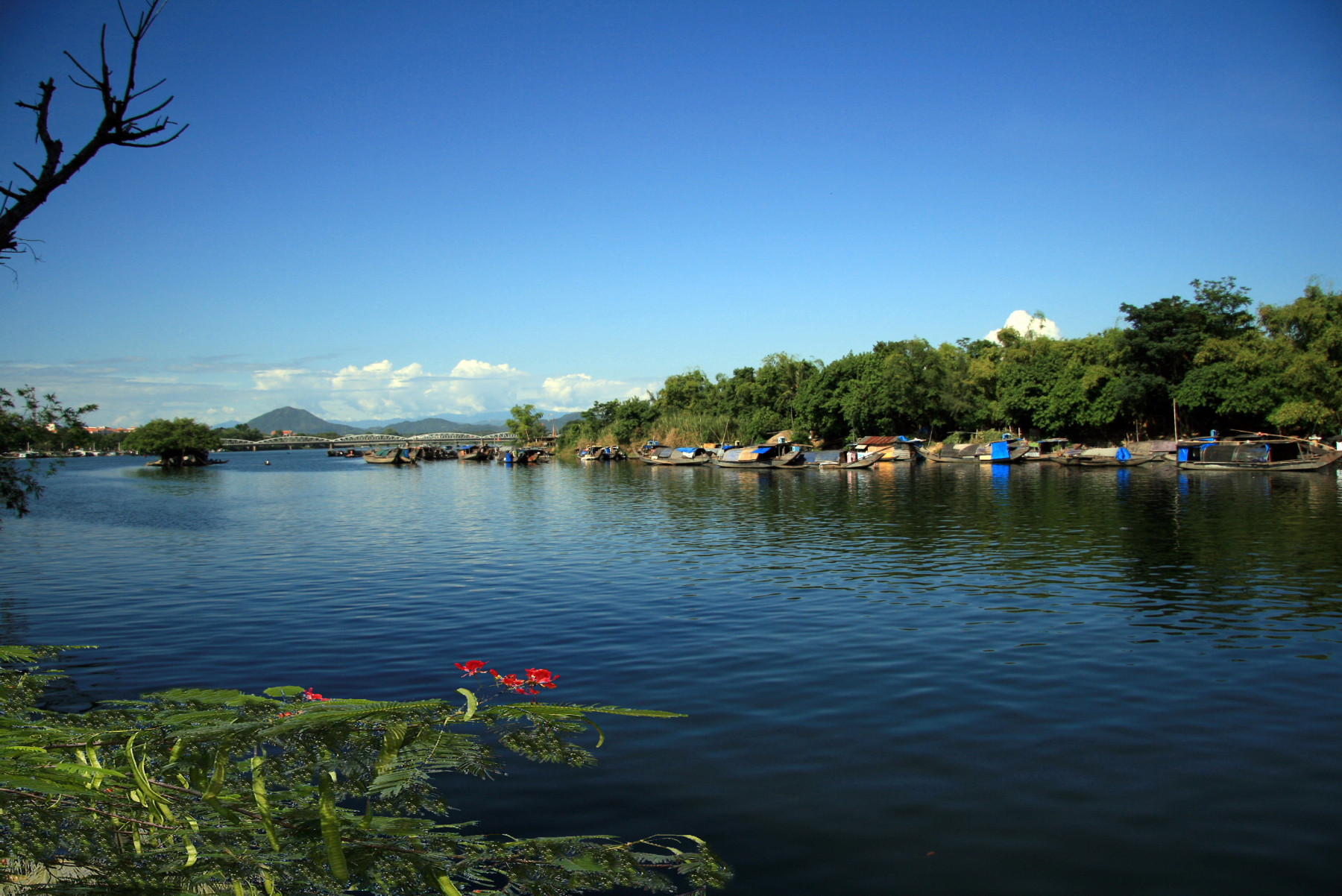 30 bài Cảm nhận vẻ đẹp sông Hương khi chảy vào thành phố Huế  (ảnh 1)