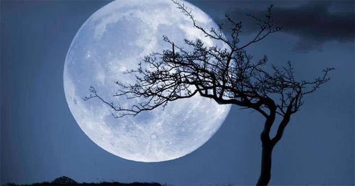 30 bài Cảm nhận về bài thơ Ngắm trăng  (ảnh 1)