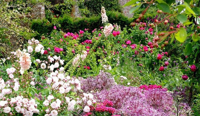 30 bài Tả vườn hoa mà em thích (ảnh 1)