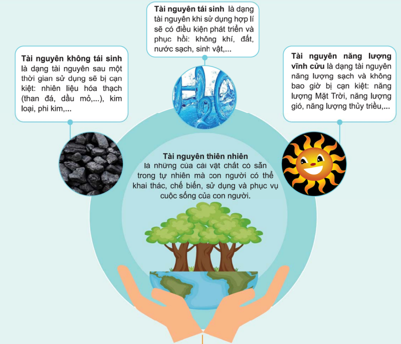 Lý thuyết Thực hành: Quản lý và sử dụng bền vững tài nguyên thiên nhiên | Sinh học lớp 12 (ảnh 1)