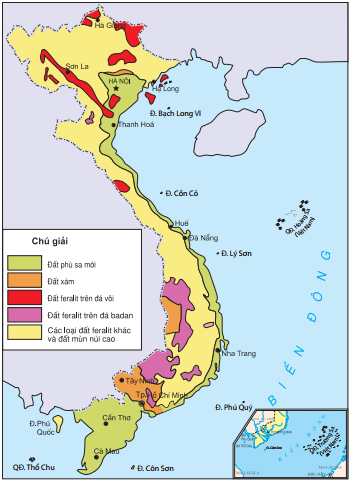 Lý thuyết Đặc điểm đất Việt Nam | Địa lí lớp 8 (ảnh 1)