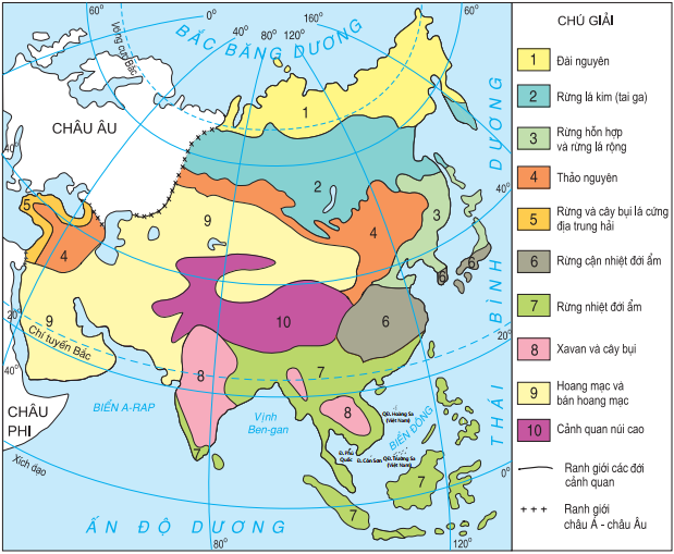 Lý thuyết Sông ngòi và cảnh quan Châu Á | Địa lí lớp 8 (ảnh 1)