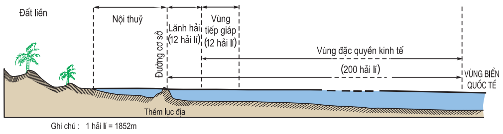 Lý thuyết Vùng biển Việt Nam | Địa lí lớp 8 (ảnh 1)