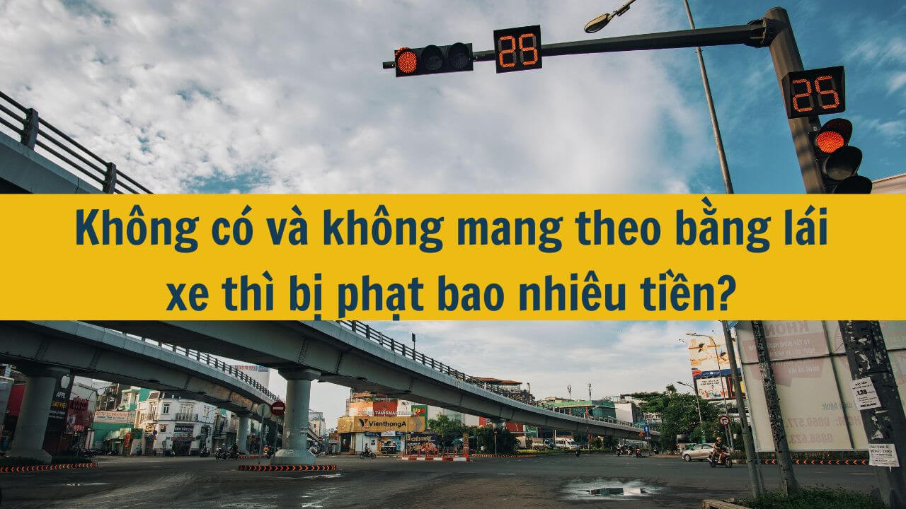 Không có hoặc không mang theo bằng lái xe thi bị phạt bao nhiêu tiền? 