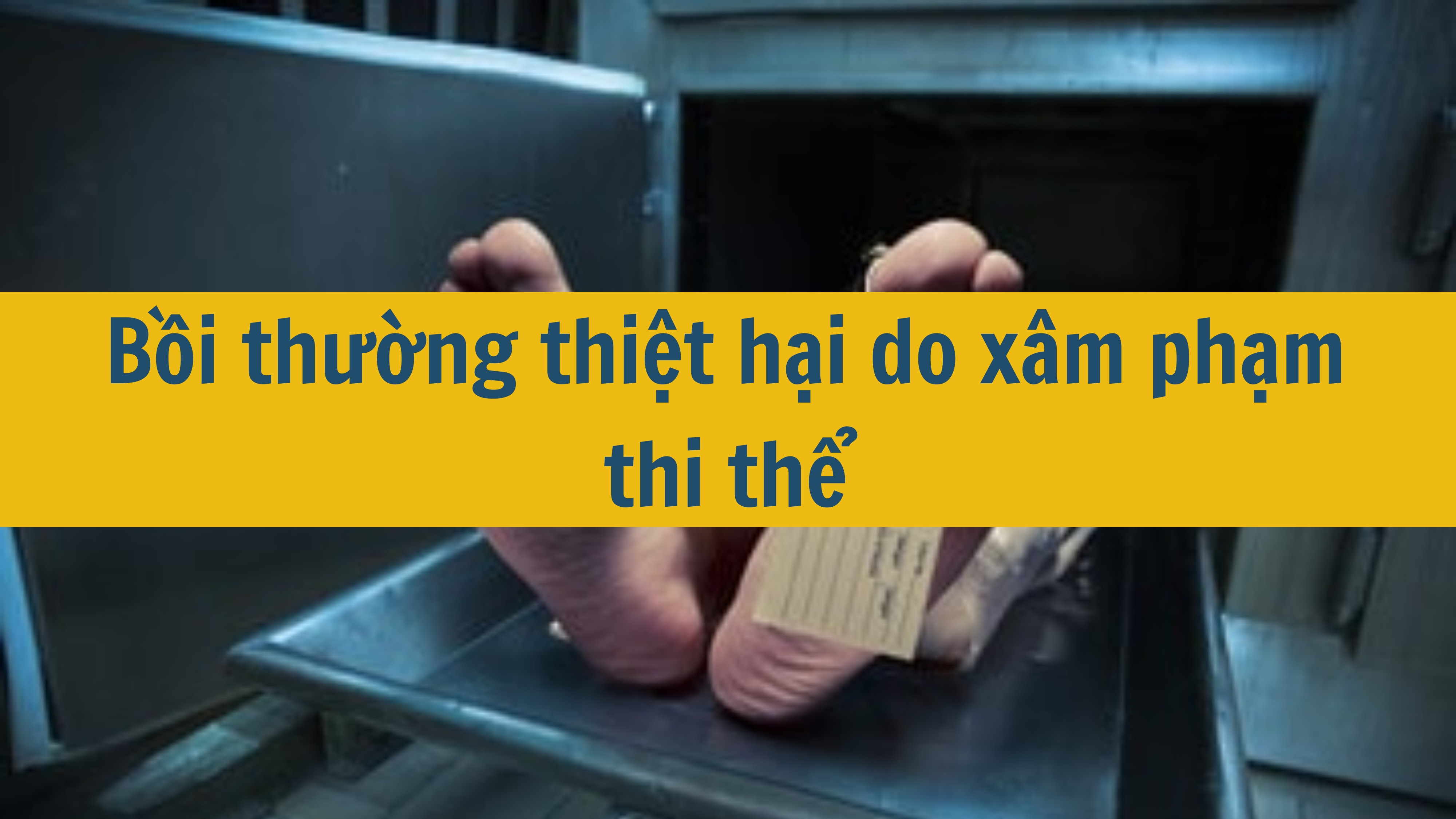 Bồi thường thiệt hại do xâm phạm thi thể 