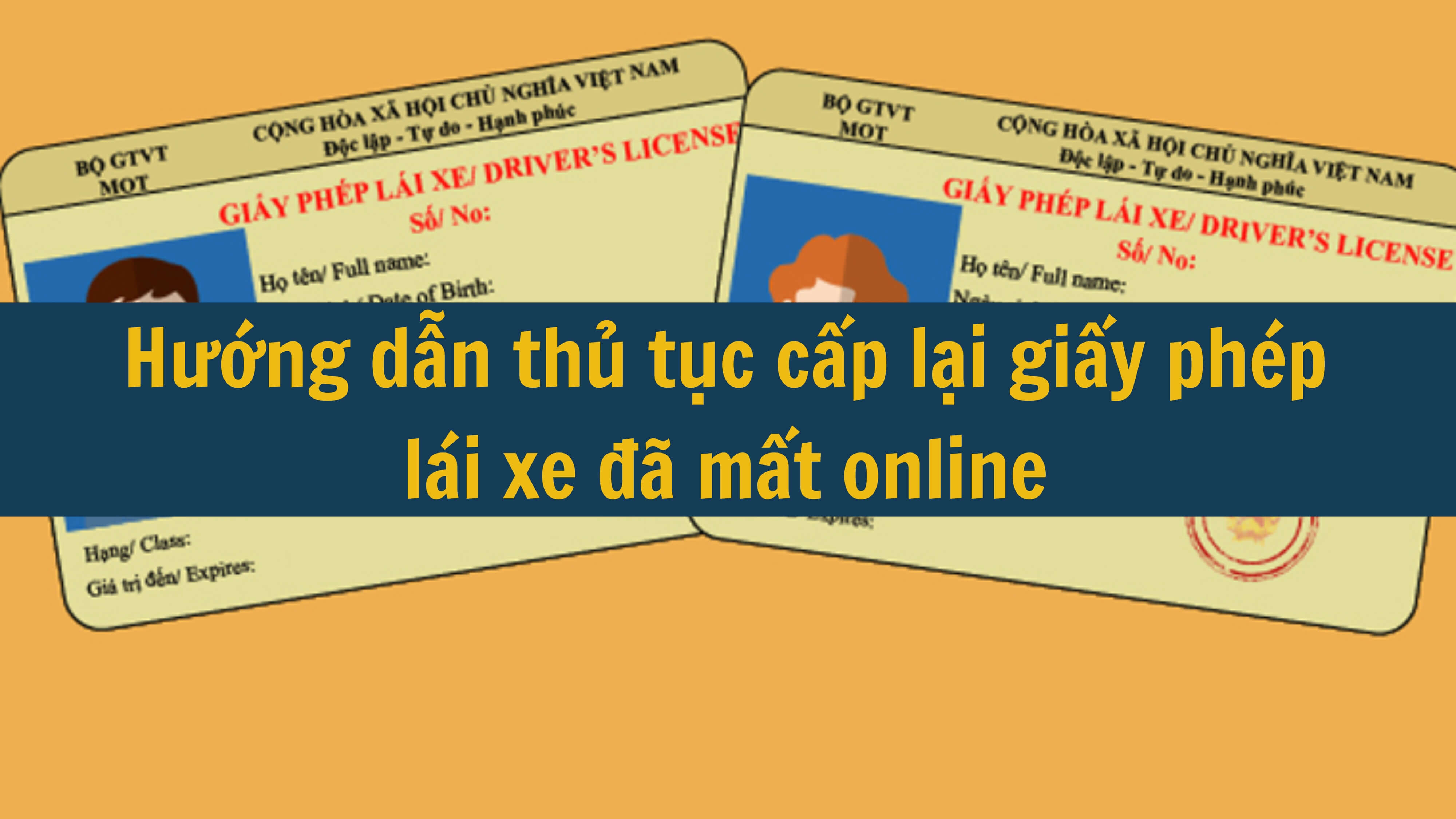 Hướng dẫn thủ tục cấp lại giấy phép lái xe đã mất online 