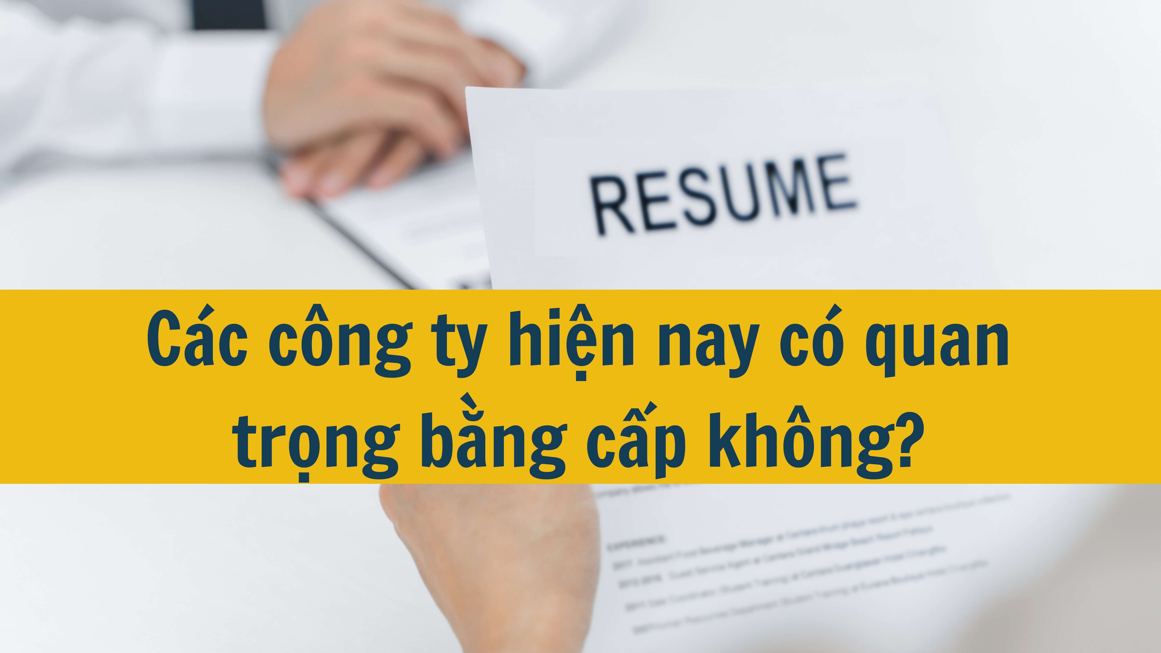 Các công ty hiện nay có quan trọng bằng cấp không? 