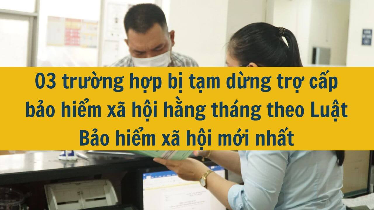 03 trường hợp bị tạm dừng trợ cấp bảo hiểm x&atilde; hội hằng th&aacute;ng theo Luật Bảo hiểm x&atilde; hội mới nhất 2025