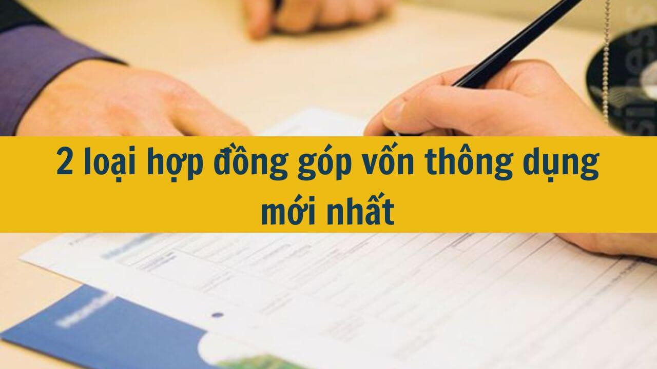 2 loại hợp đồng g&oacute;p vốn th&ocirc;ng dụng mới nhất 2025