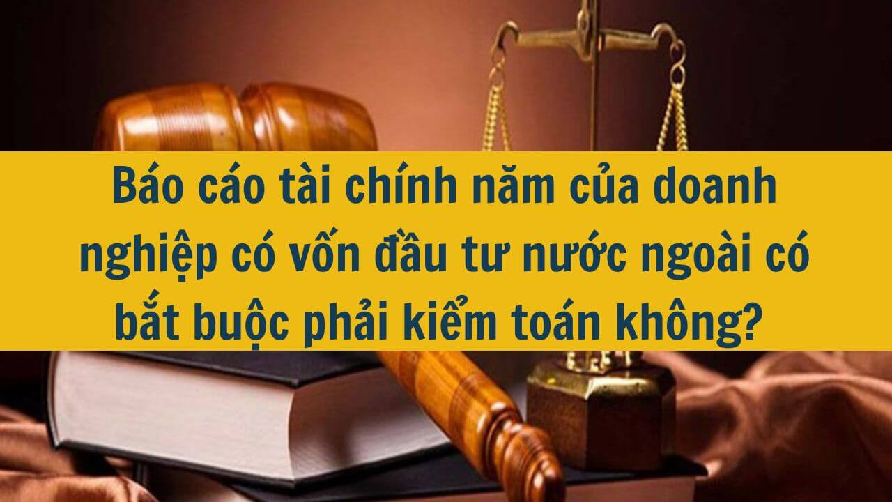 B&aacute;o c&aacute;o t&agrave;i ch&iacute;nh năm của doanh nghiệp c&oacute; vốn đầu tư nước ngo&agrave;i c&oacute; bắt buộc phải kiểm to&aacute;n kh&ocirc;ng? 