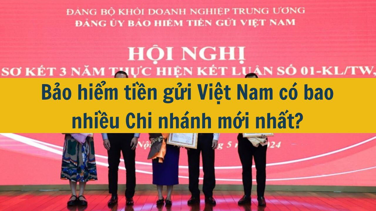 Bảo hiểm tiền gửi Việt Nam c&oacute; bao nhiều Chi nh&aacute;nh mới nhất 2025?