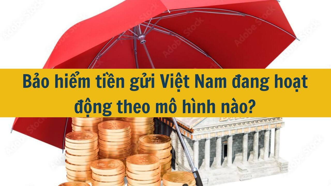 Bảo hiểm tiền gửi Việt Nam đang hoạt động theo m&ocirc; h&igrave;nh n&agrave;o?