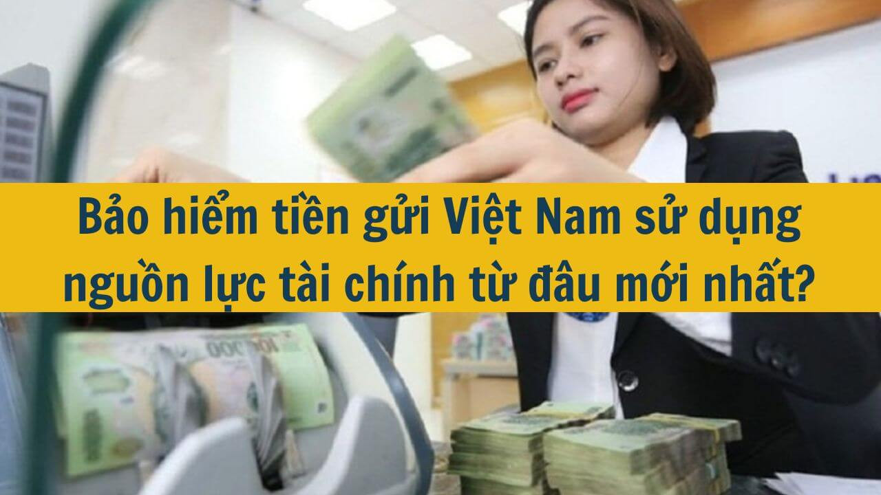 Bảo hiểm tiền gửi Việt Nam sử dụng nguồn lực t&agrave;i ch&iacute;nh từ đ&acirc;u mới nhất 2025?