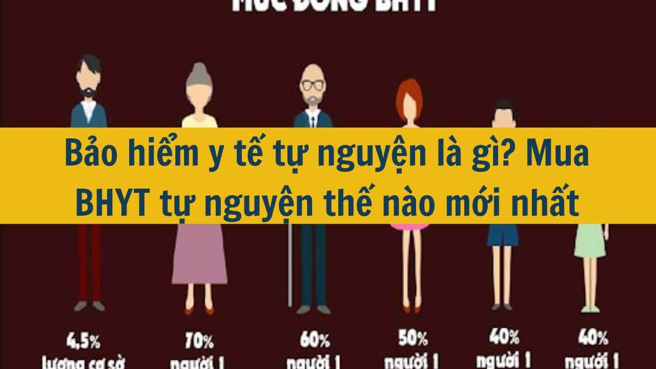 Bảo hiểm y tế tự nguyện l&agrave; g&igrave;? Mua BHYT tự nguyện thế n&agrave;o mới nhất 2025