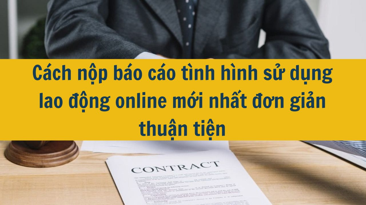 C&aacute;ch nộp b&aacute;o c&aacute;o t&igrave;nh h&igrave;nh sử dụng lao động online mới nhất 2025 đơn giản thuận tiện