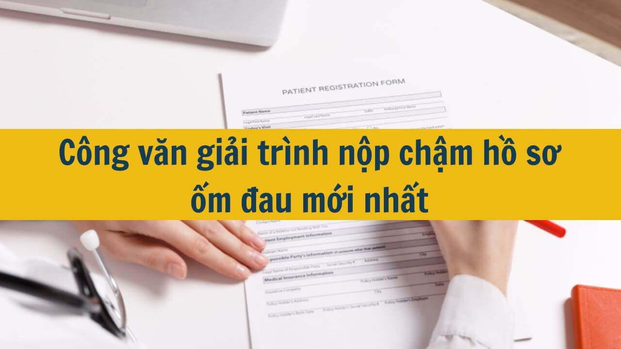 Công văn giải trình nộp chậm hồ sơ ốm đau mới nhất 2025