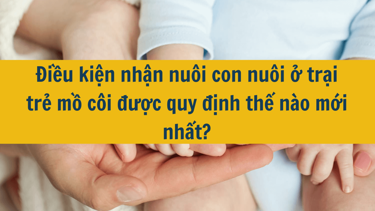 Điều kiện nhận nuôi con nuôi ở trại trẻ mồ côi được quy định thế nào mới nhất 2025?