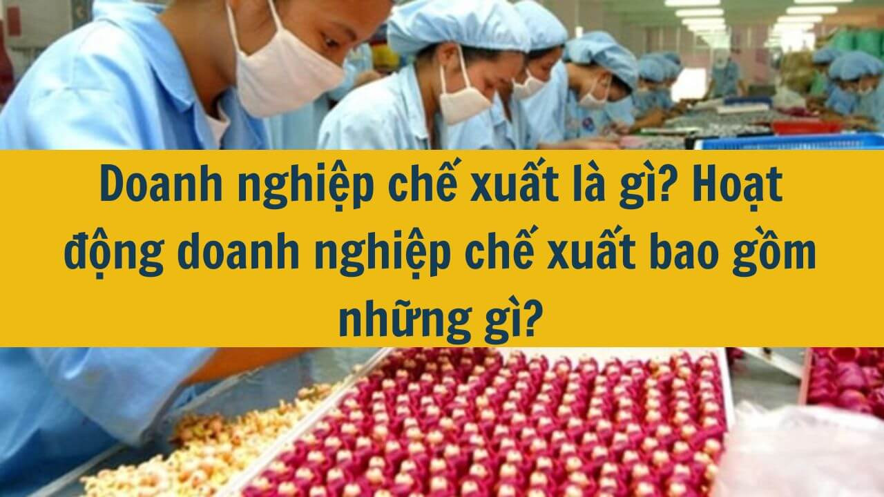 Doanh nghiệp chế xuất l&agrave; g&igrave;? Hoạt động doanh nghiệp chế xuất bao gồm những g&igrave;?