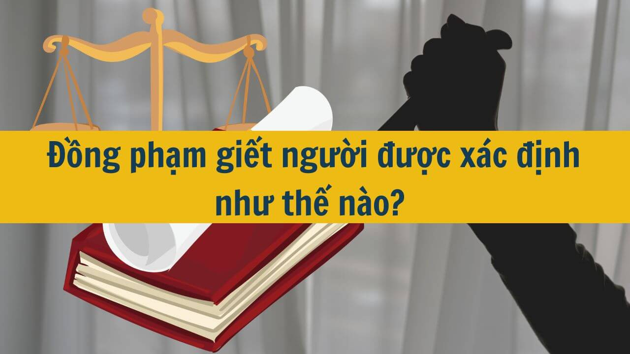 Đồng phạm giết người được x&aacute;c định như thế n&agrave;o? 