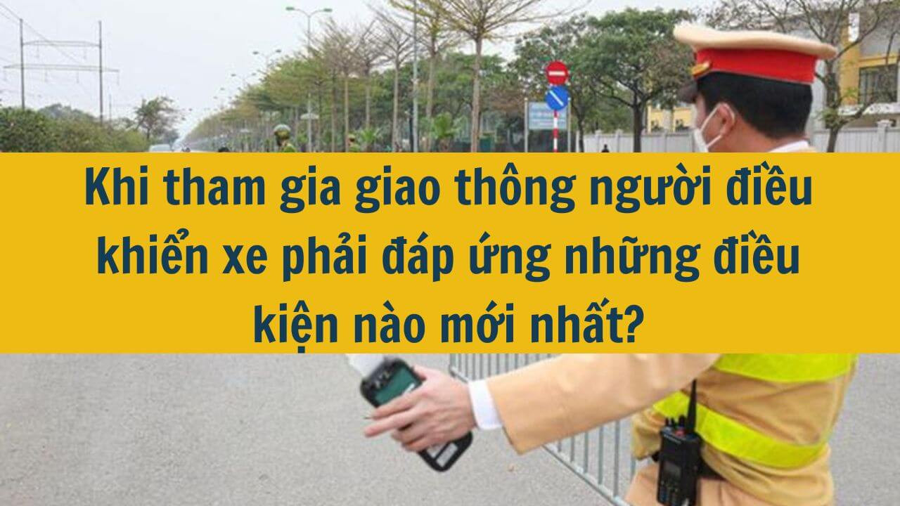 Khi tham gia giao th&ocirc;ng người điều khiển xe phải đ&aacute;p ứng những điều kiện n&agrave;o mới nhất 2025?