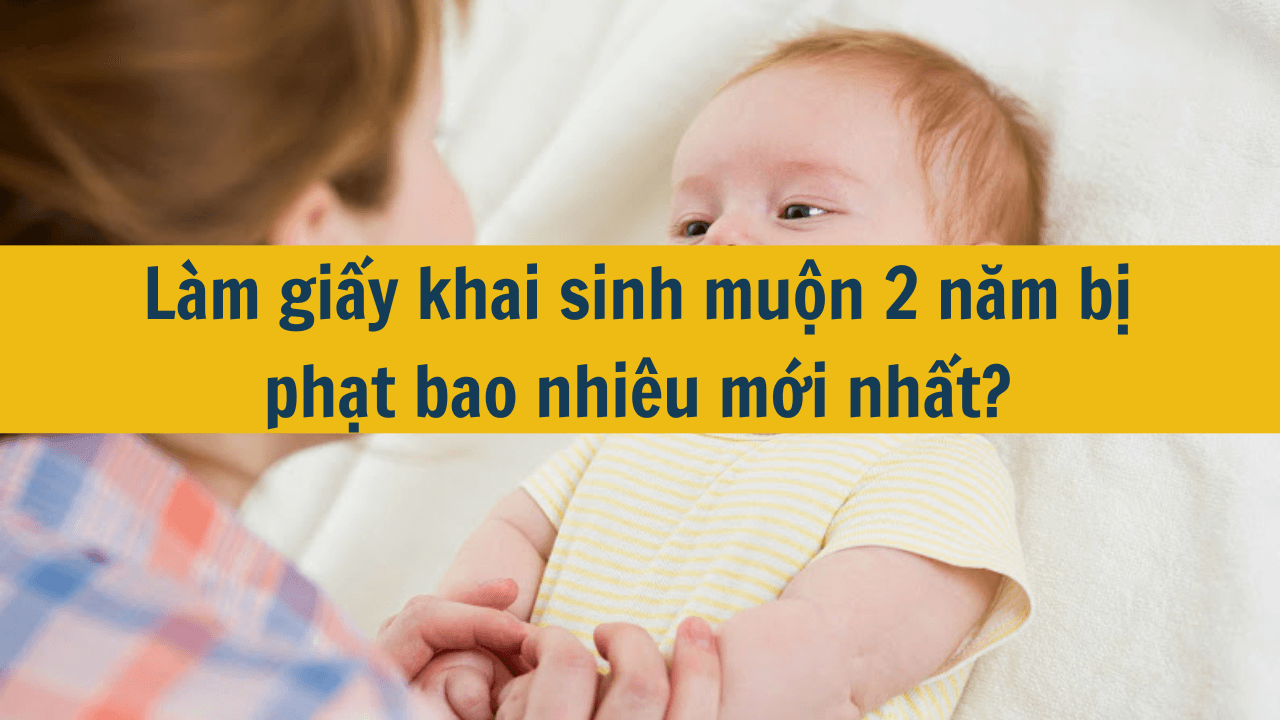 Làm giấy khai sinh muộn 2 năm bị phạt bao nhiêu mới nhất 2025?