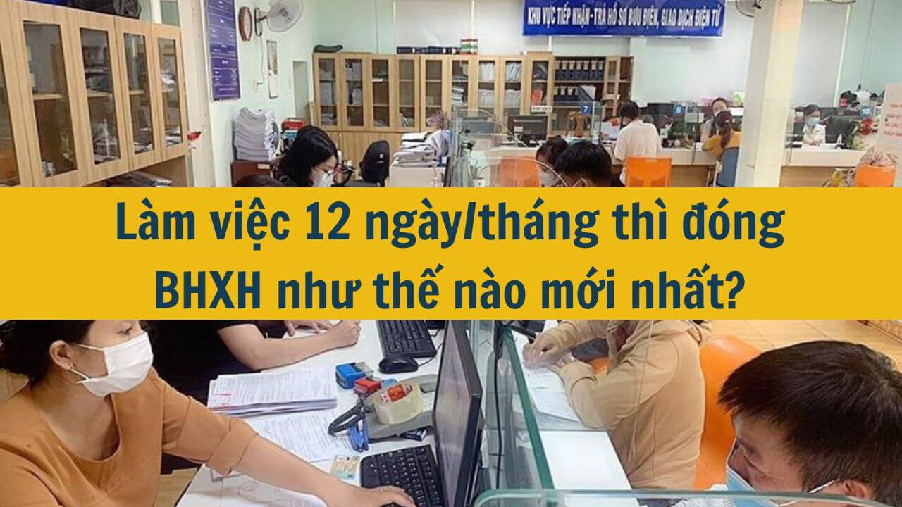 Làm việc 12 ngày/tháng thì đóng BHXH như thế nào mới nhất 2025?