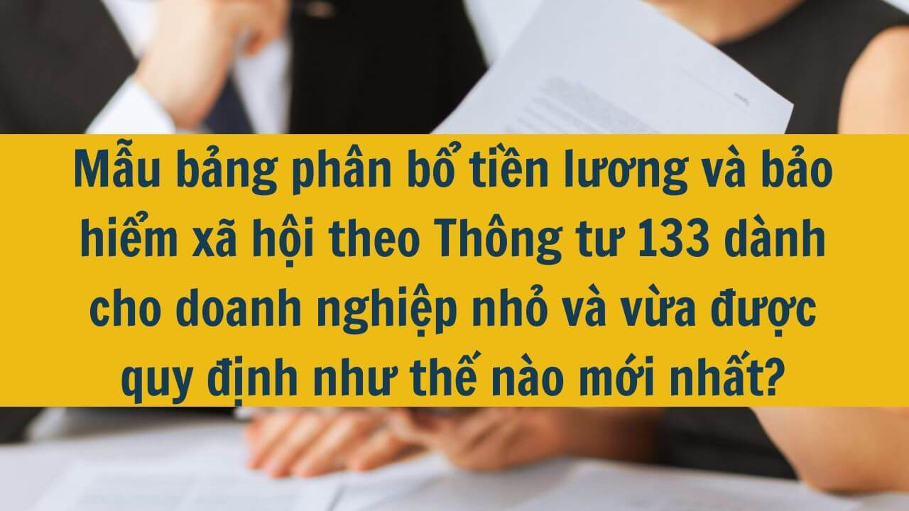 Mẫu bảng phân bổ tiền lương và bảo hiểm xã hội theo Thông tư 133 dành cho doanh nghiệp nhỏ và vừa được quy định như thế nào mới nhất 2025?