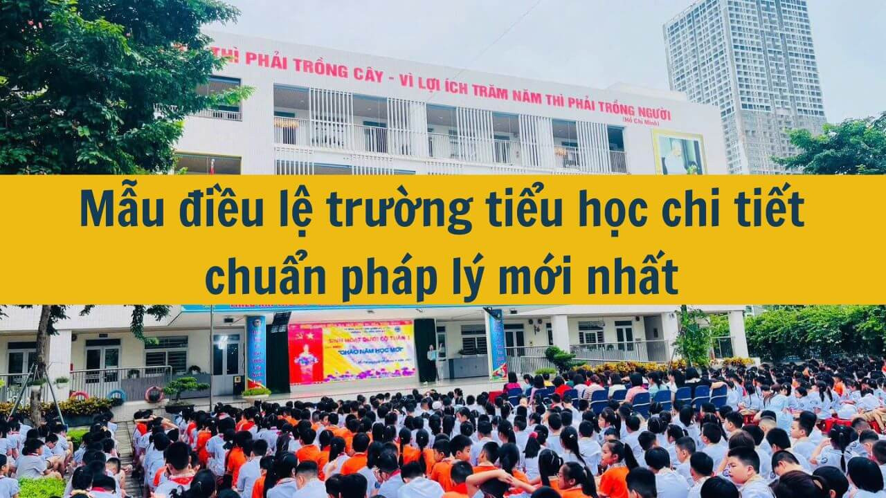 Mẫu điều lệ trường tiểu học chi tiết chuẩn ph&aacute;p l&yacute; mới nhất 2025