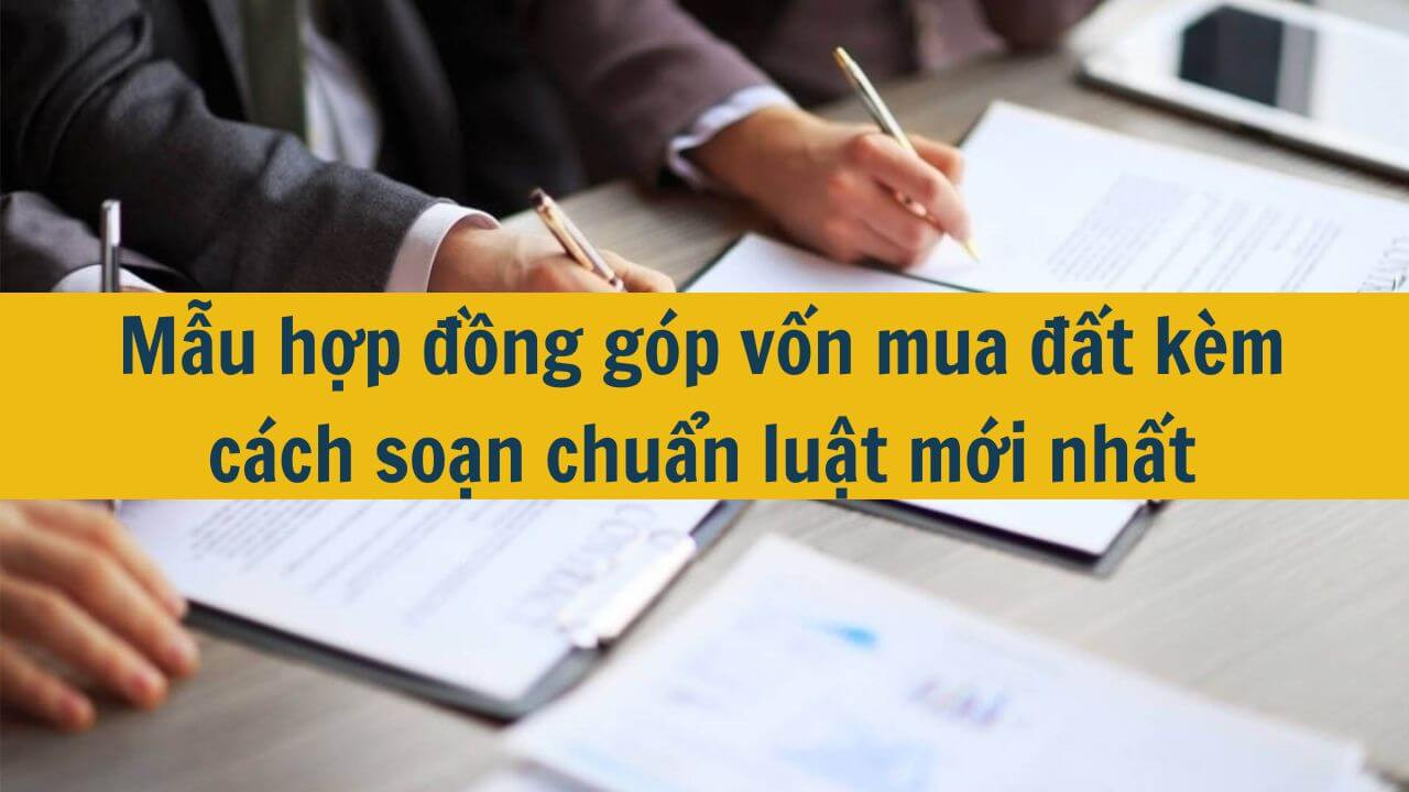 Mẫu hợp đồng g&oacute;p vốn mua đất k&egrave;m c&aacute;ch soạn chuẩn luật mới nhất 2025