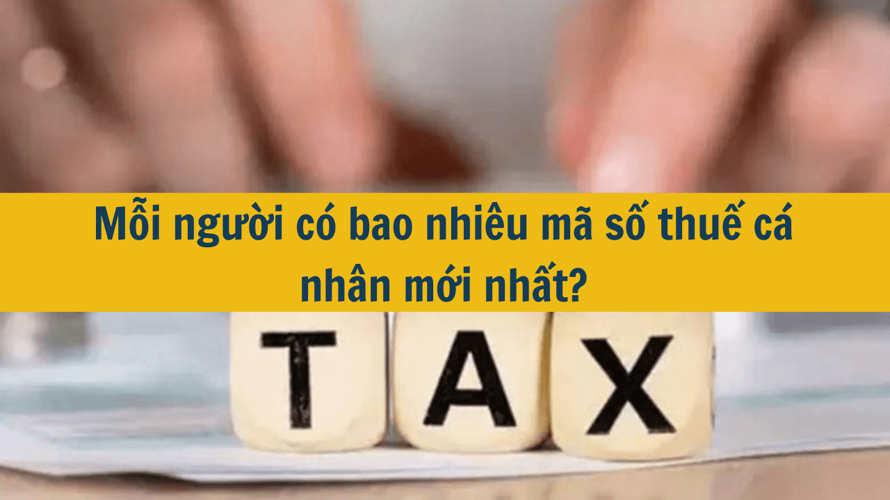 Mỗi người có bao nhiêu mã số thuế cá nhân mới nhất 2025?