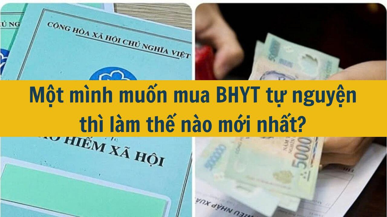 Một m&igrave;nh muốn mua BHYT tự nguyện th&igrave; l&agrave;m thế n&agrave;o mới nhất 2025?