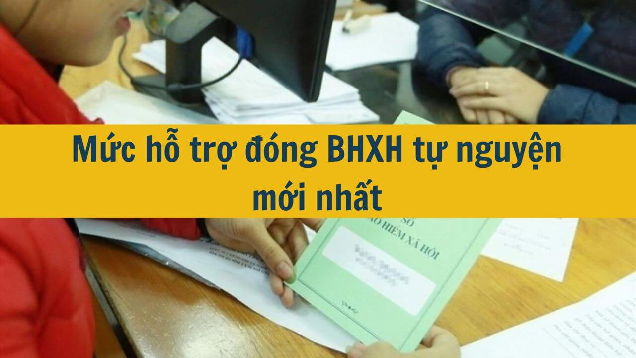 Mức hỗ trợ đ&oacute;ng BHXH tự nguyện mới nhất 2025