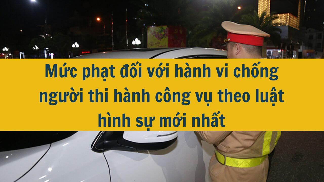 Mức phạt đối với h&agrave;nh vi chống người thi h&agrave;nh c&ocirc;ng vụ theo luật h&igrave;nh sự mới nhất 2025